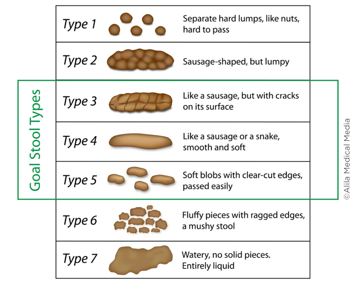 6 - Constipation 1