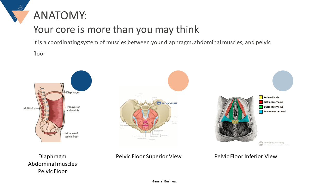 Slide4 - Fortify - Restore &Amp; Soar 9